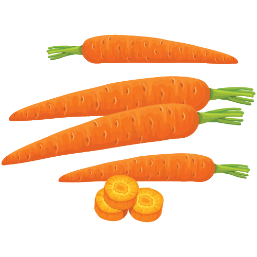 Cà rốt